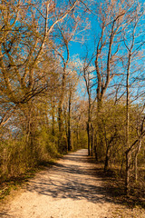 Beautiful view at the famous Chiemsee-Bavaria-Germany