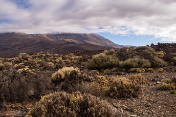 Naklejka premium Pico del Teide, Tenerife, Spain