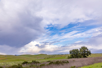 Fototapeta premium scenic landscape at Cabrillo highway with meadows and scenic sky