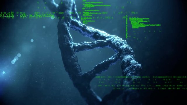 DNA and interface codes