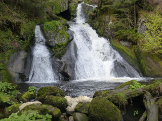 Obraz premium cascade triberg forêt-noire
