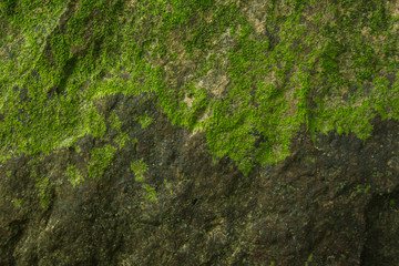 Background and black marble. Bedrock Stone In the forest near the waterfall