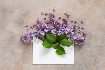 A bouquet of fresh fragrant lilac in a white paper envelope on a light sand background.