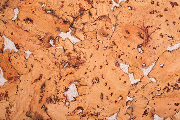 Close-up background and texture of cork board wood surface