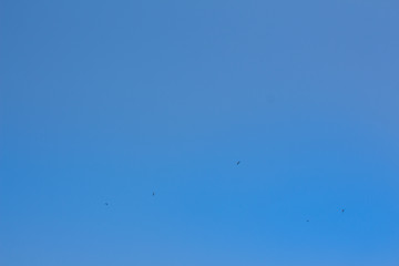 Background sky,Bright in Phuket Thailand