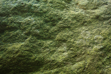 Background and black marble. Bedrock Stone In the forest near the waterfall