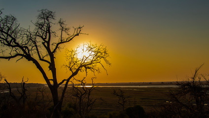 Abend im Okavango Delta