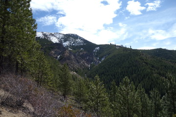 Obraz premium Springtime in the Pacific Northwest