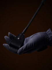 riding whip in hand on brown background