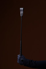 riding whip in hand on brown background
