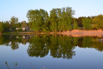 Obraz premium by the forest lake