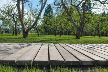 Empty wooden walkway in the green garden. Mock up space for garden tools.