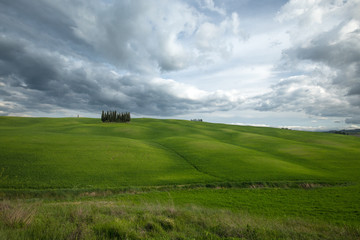 Circular cypresses of the Val d'Orcia, Tuscany. Val d'Orcia landscape in spring. Cypresses, hills and green meadows near San Quirico d'Orcia, Siena, Tuscany, Italy