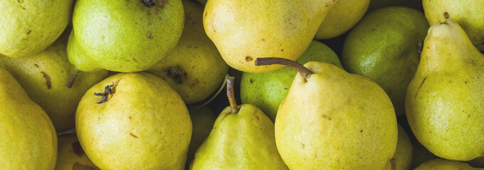 Background of ripe yellow pears. Top view