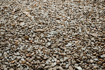 Pebble stone texture. Little round stones in different colors.