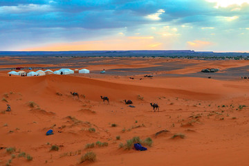 Fototapeta na wymiar Sunrise in the western part of the Sahara Desert in Morocco.