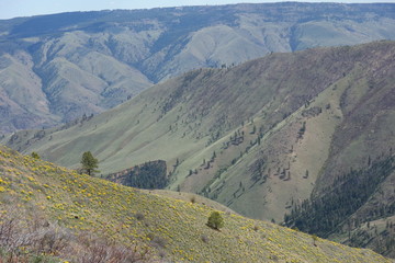 Fototapeta premium Hiking in the Pacific Northwest