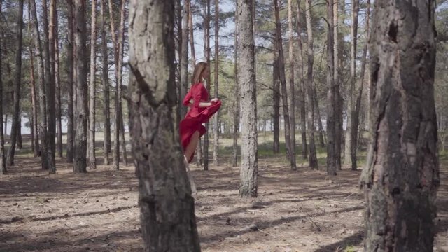 Graceful woman in red dress dancing in the forest landscape. Beautiful contemporary dancer. Graceful girl runs and jumps. Camera moves in parallel with the girl. Shooting from the side. Slow motion