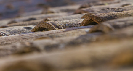 Old roof tiles backdrop