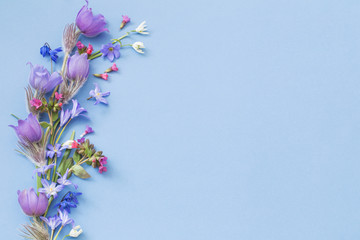spring flowers on blue background