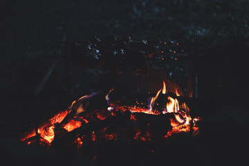 Fire and coal in a dark forest at night. A picnic and a hike to the mountains. Traveling in the...