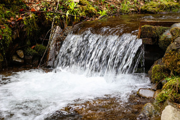 Places near Lake Synevir in the Ukrainian Carpathians. Traveling in the mountains