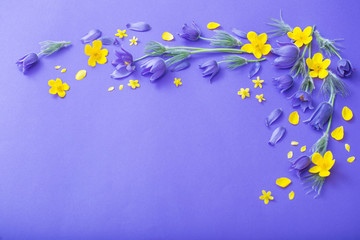 purple and yellow spring  flowers on violet paper background