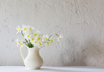 daffodils in jug on white background