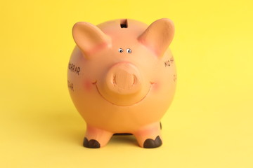 pig ceramic piggy bank with colorful backgrounds