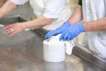Fototapeta premium Cheese production industry. workers close up preparing cheese raw dough into molds.