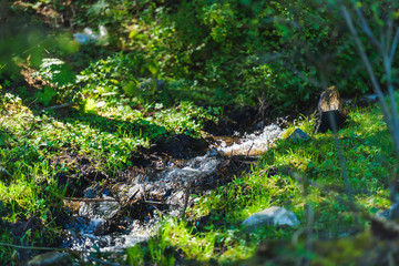 Mountain river. Wet stone. Rest in Kyrgyzstan. Nature in the area of lake Issyk Kul.