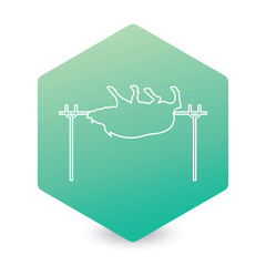 Grilled boar icon