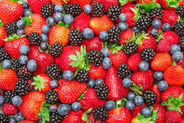 Obraz premium group of fresh and colored berry