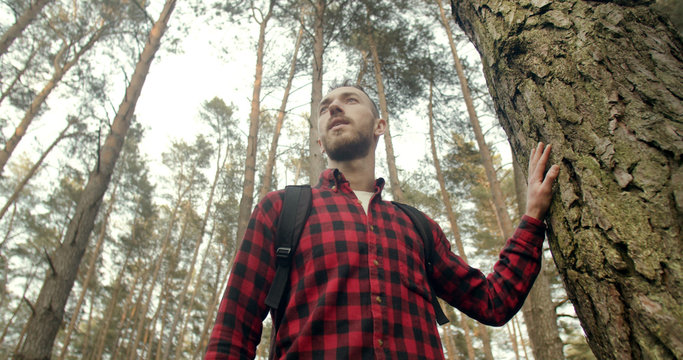 Baclpacked tourist man touches pine tree in the forest