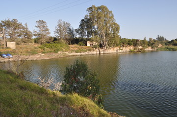 The beautiful natural Wetland landscape in Cyprus