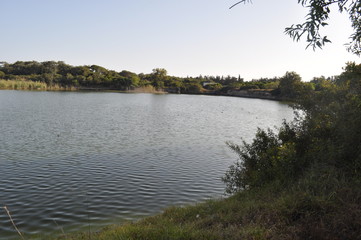 The beautiful natural Wetland landscape in Cyprus