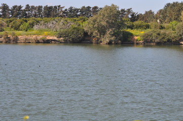 The beautiful natural Wetland landscape in Cyprus