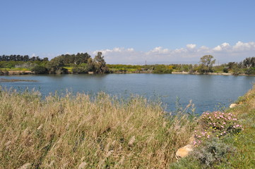 Fototapeta na wymiar The beautiful natural Wetland landscape in Cyprus