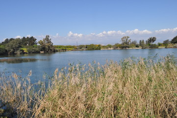 The beautiful natural Wetland landscape in Cyprus