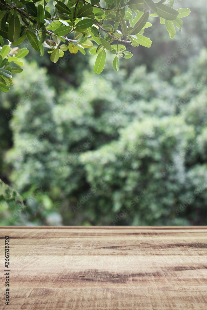 Wall mural wooden table and blurred green nature garden background.