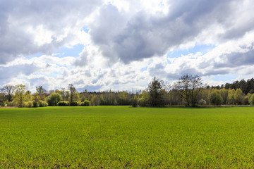 Wellness decoration, Spa concept in Valentine's Day