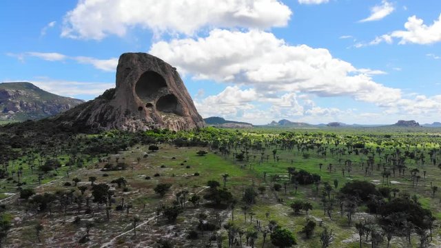 Sunny day at Caatinga forest. Morro das Tocas, Itatim, Bahia, Brazil. Drone moving forwards 4K