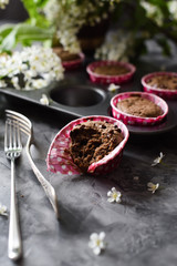 Delicious chocolate muffins and small white flowers of bird cherry on dark gray background