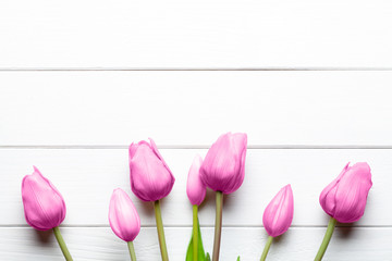Pink tulips flowers on white wooden background