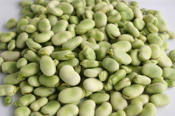 Saubohnen. Ackerbohnen.