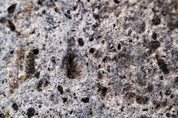 Grey rock texture