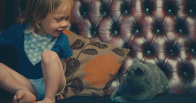 Little toddler trying to approach cat on sofa