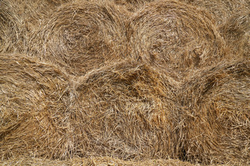 Texture of haystacks from round bales on a sunny day. Close-up