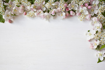 Spring background with blooming apple tree branches, bird cherry, for congratulations, text
