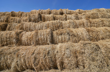 Texture of haystacks from round bales on a sunny day. Close-up